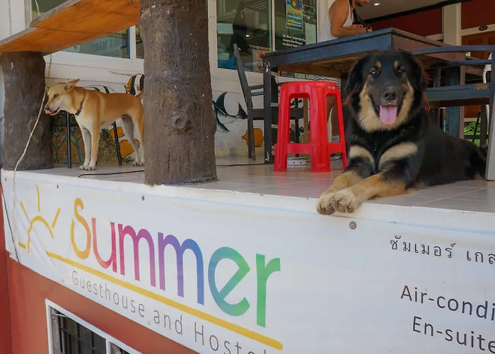 Hotel: Summer Guesthouse And Hostel